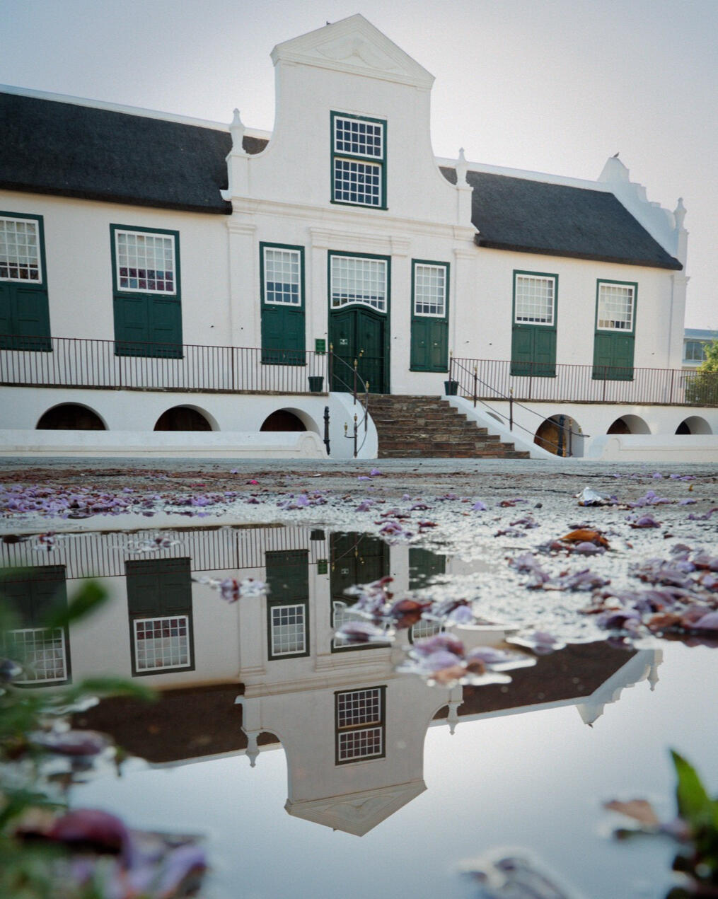 Cape Dutch building in Graaff-Reinet reflected in a puddle scattered with jacanda petals